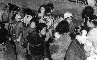 二战后日本饥荒蔓延：大规模捕鲸的始作俑者是谁？